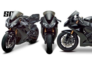 WS.KAW ZX10R (08-10 ) /ZX6R 09-18 / ZX636 13-18 DS